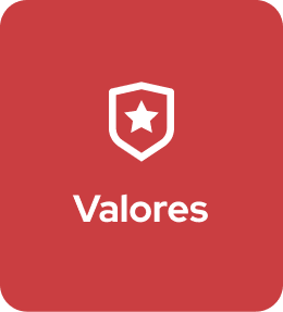 icono_valores