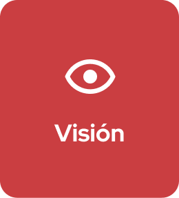 icono_vision